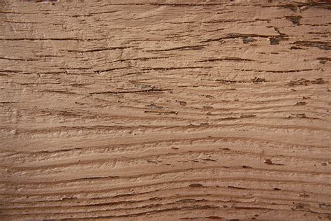 Free Photo Close Up Of Wood Antique Rustic Wood Free Download Jooinn