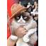 Grumpy Cat In Pharrells Hat At The MTV Movie Awards 2014  POPSUGAR