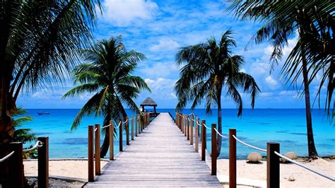 Free Download Tropical Beach Paradise Wallpaper High Quality 1920x1080