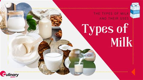 The Types Of Milk And Their Uses Culinary Depot