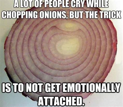 Funny Onion Quotes Shortquotescc