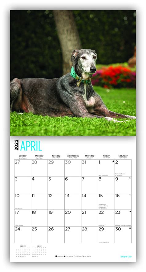 2022 Greyhounds Wall Calendar By Bright Day 12 X 12 Inch Etsy