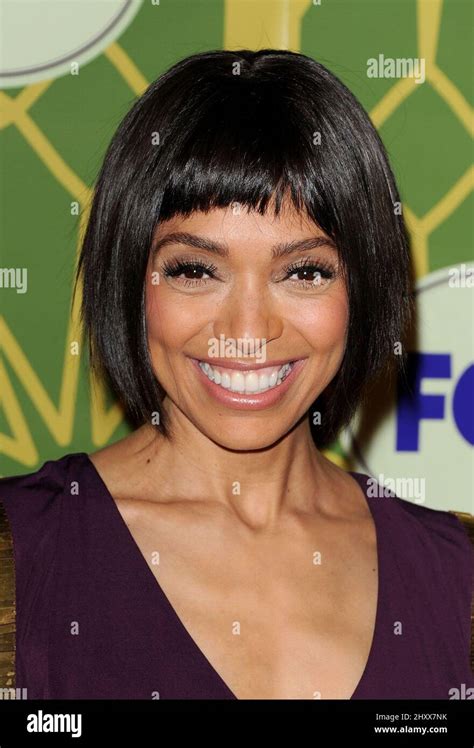 tamara taylor during the fox tca winter press tour all star party held at the castle green