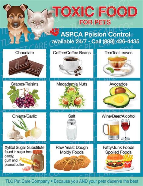 The above chart also outlines what is good in moderation and others that should not be eaten under any. The World's Most Dangerous Foods For Dogs & Cats Fridge ...