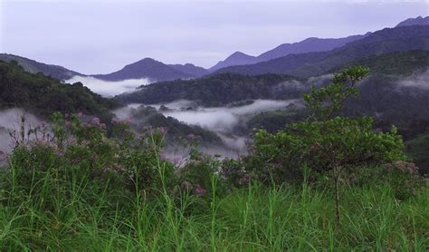 Silent Valley National Park Is A Unique Reserve Of Tropical Rain Forest