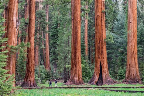 Must See Stops In Sequoia And Kings Canyon National Parks