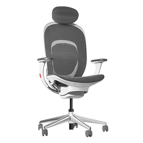 Multi Function Task Chair Without Armsmid Back Moustache At