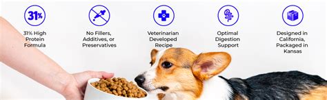 These foods are better for the environment without sacrificing the health (or palate!) of your dog. Amazon.com: Wild Earth Healthy High-Protein Formula Dry ...