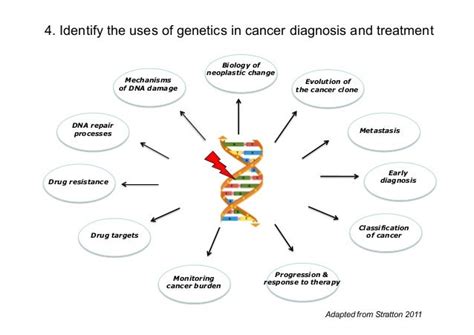 Cancer Genetics Denise Sheer