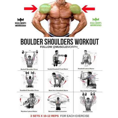 Musclemorph On Twitter Shoulder Workout Boulder Shoulder Workout