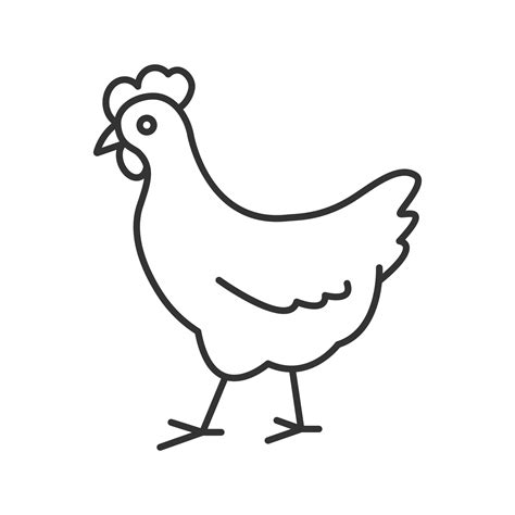 Chicken Linear Icon Poultry Farm Thin Line Illustration Hen Contour