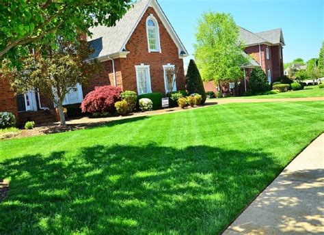 5 Suitable Ways To Maintain A Healthy Lawn