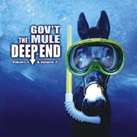 Deep End Vol1 And 2 Govt Mule Amazonfr Cd Et Vinyles