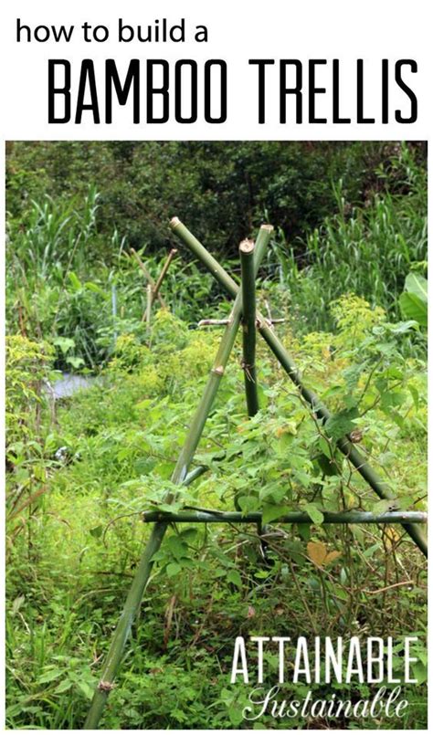 Tired Of Your Trellises Not Lasting The Season Heres A Solution By