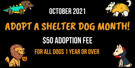October Is Adopt A Shelter Dog Month Humane Society Of St Joseph County