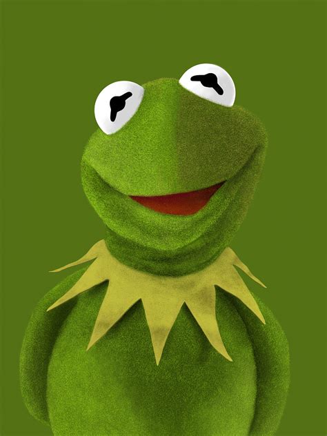 Kermit The Frog Digital Illustration On Behance