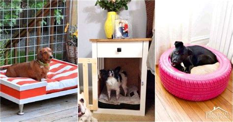 9 Diy Dog Bed Ideas Using Pvc Pipe Diy Crafts
