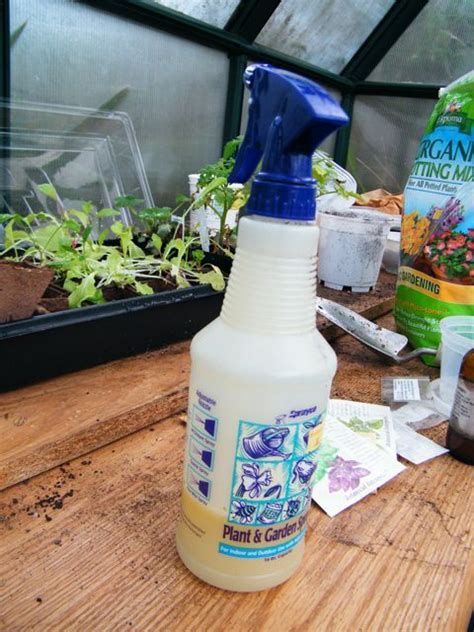 To make your own neem oil pesticide spray, follow these steps: How to Make Your Own All-Natural Pesticide | Natural ...