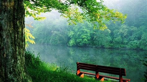 Wood Bench On Green Grass Beautiful River Trees Reflection On Water Hd