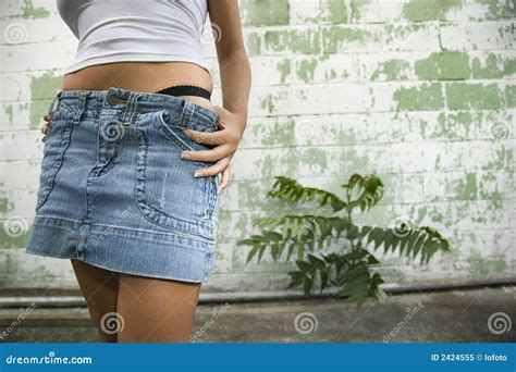 Woman In Mini Skirt Stock Image Image Of 060511d0007 2424555
