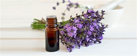 17 Benefits Of Lavender Oil Its Not Just For Perfume Anymore