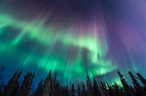 Experiencing Pure Magic The Northern Lights