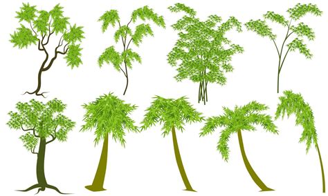 Vectors Tree Set Isolated On White Background 5056635 Vector Art At