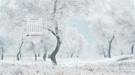 Let's make this february more colorful! Desktop Wallpapers Calendar February 2016 - Wallpaper Cave