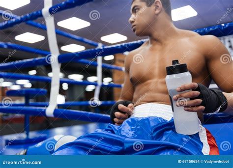 Boxer Drinking Water Stock Photo Image Of Male Professional 67150654