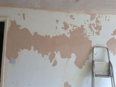Painting Over Patchy Paintplaster Diy Home Improvement Forum