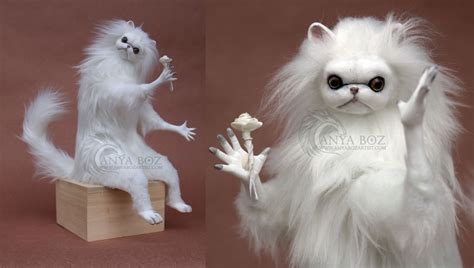 Anyaboz — The Persian Cats Are Now For Sale Good Luck