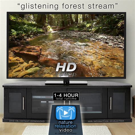 Glistening Forest Stream Looping Nature Relaxation Video Screensaver