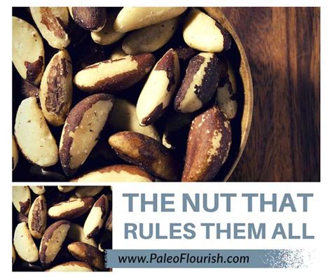 4 Reasons That One Nut May Rule Them All