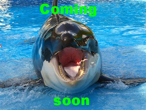 Последние твиты от fur affinity mawshot commission for malcolminthemiddle !! Whale Mawshot Furaffinity - Into Orca V by TheoTheFox -- Fur Affinity dot net : Последние твиты ...