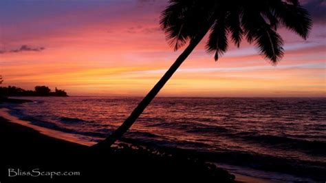 Blissescape Caribbean Beach Sunset On Vimeo