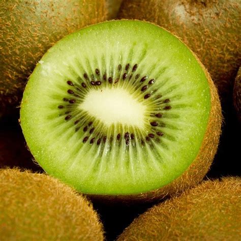 Buy kiwi fruit / Actinidia deliciosa 'Jenny' kiwi fruit Jenny: £19.99 ...