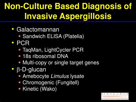 Ppt New And Newer Antifungals For Invasive Aspergillosis Powerpoint