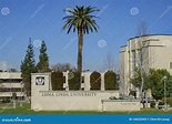 Entrance Sign of the Loma Linda University Editorial Stock Photo ...