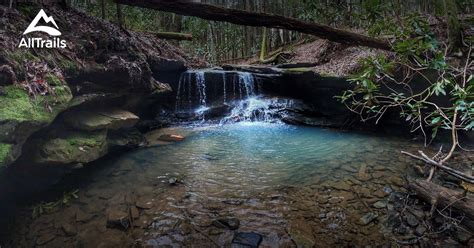 Best Trails In Daniel Boone National Forest Kentucky Alltrails