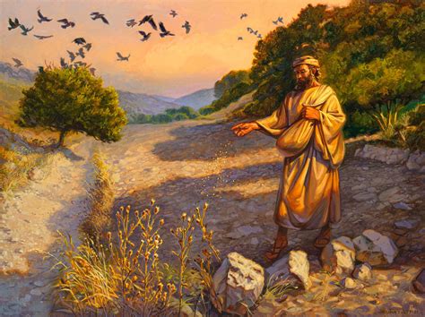 Matthew Parable Of The Sower Bible Illustrations Art Parables Hot Sex Picture