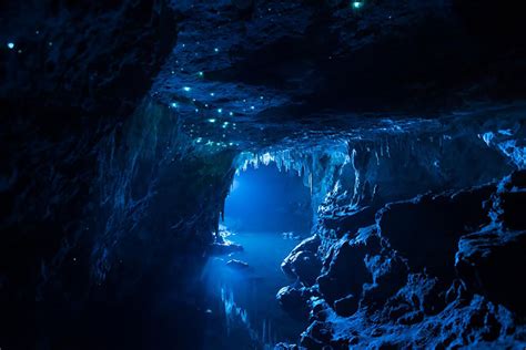Long Exposure Photos Of Glowworms Turn New Zealand Cave Into Starry