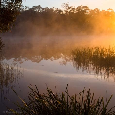 Stream Cudgegong River Morning Recorded In Wollemi National Park Nsw