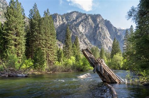 A Guide To Kings Canyon National Park