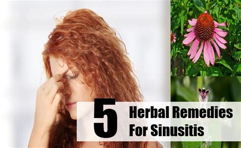 5 Best Herbal Remedies For Sinusitis Best Herbs For Sinusitis