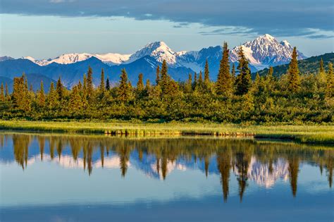 2022 Alaska Discovery Photo Tourworkshop Including Brown Bears Eagles