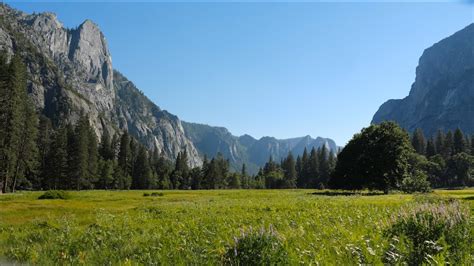 Meadows Yosemite Nature Notes Episode 33 Youtube