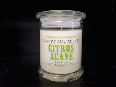 Citrus Agave Soy Candle Soyfire Candle