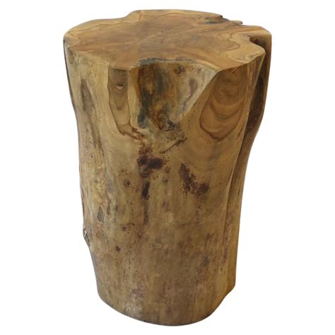 Varnished Driftwood Root Natural Organic Wood Pedestal Side End Table