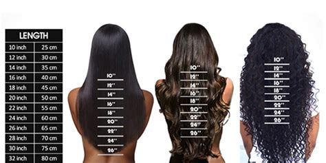 Length Curly Hair Chart