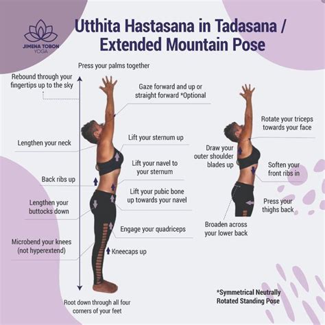 Utthita Hastasana In Tadasana Extended Mountain Pose Mountain Pose Yoga Mountain Pose How